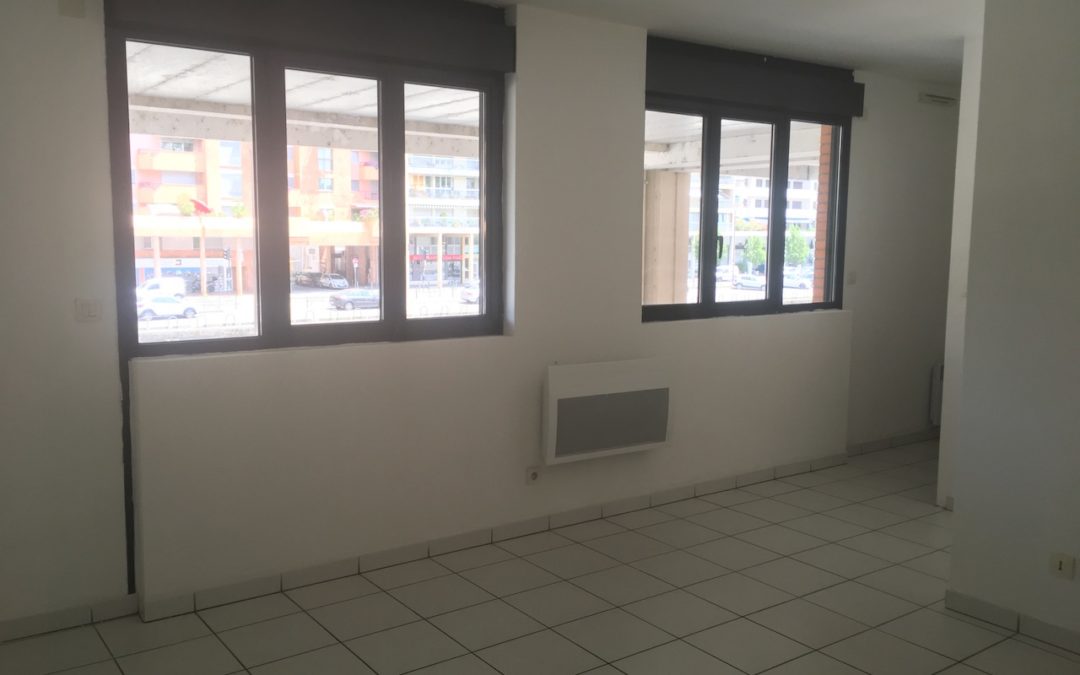 TOULOUSE, centre ville, Appartement T1