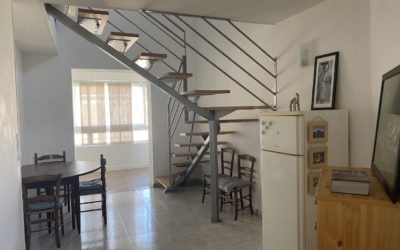 ALBI, quartier stadium, Appartement T3 meublé