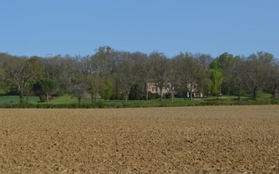 Stone-built farmhouse with superb views of Cordes-sur-Ciel