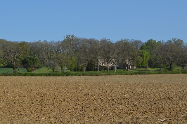 Stone-built farmhouse with superb views of Cordes-sur-Ciel