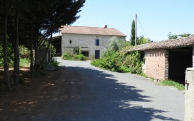 Lombers, Corps de ferme de 180 m² habitables avec 80 m² d’appentis avec possibilités de garer des voitures ou camping-car + dépendances de 180 m² environ sur terrain arboré de 3000 m²