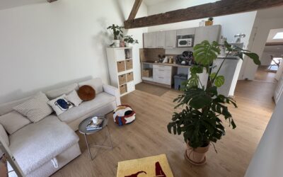 Réalmont,  Appartement 3 pièces de 46.58 m² (AU SOL environ 65m²) + place de parking dans garage commun et box privatif