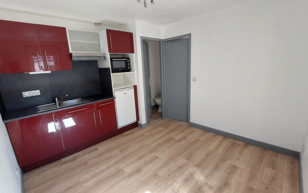 Réalmont, Appartement rénové 2 Pièces de 20 m² habitables, Libre de suite.