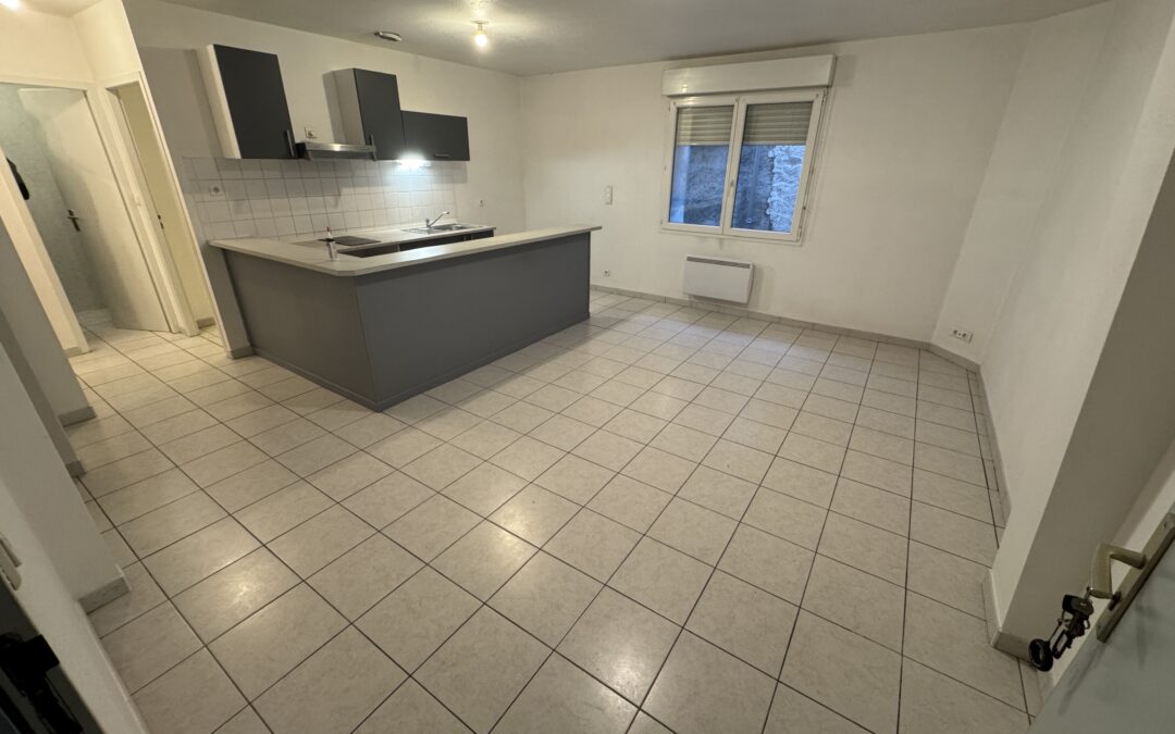 Réalmont, Appartement T2 de 42,5 m² habitables avec PLACE de parking dans garage commun, Libre