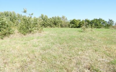 Réalmont, Sur les hauteurs, Terrain VIABILISE de 942 m²